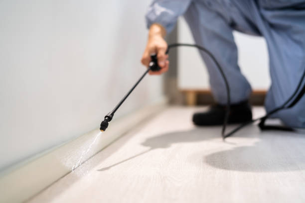 Licensed Pest Control service in Morgan, UT - Show Me Pest Control